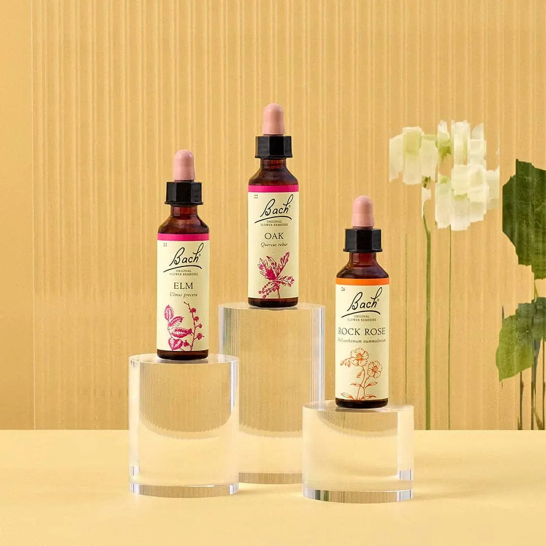 Bach Bundle 20ml Bach™ Flowers for Inner Strength