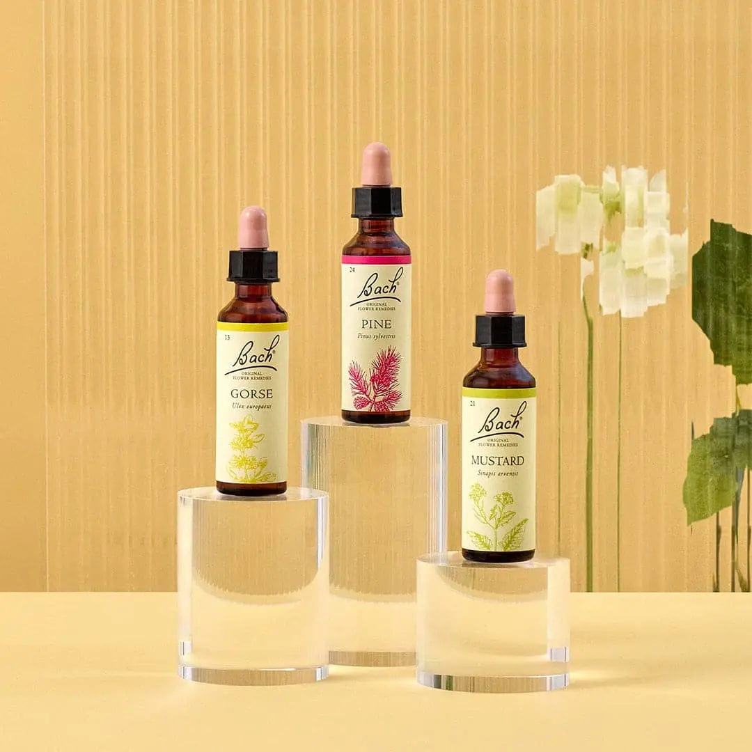 Bach Bundle 20ml Bach™ Flowers for Joy