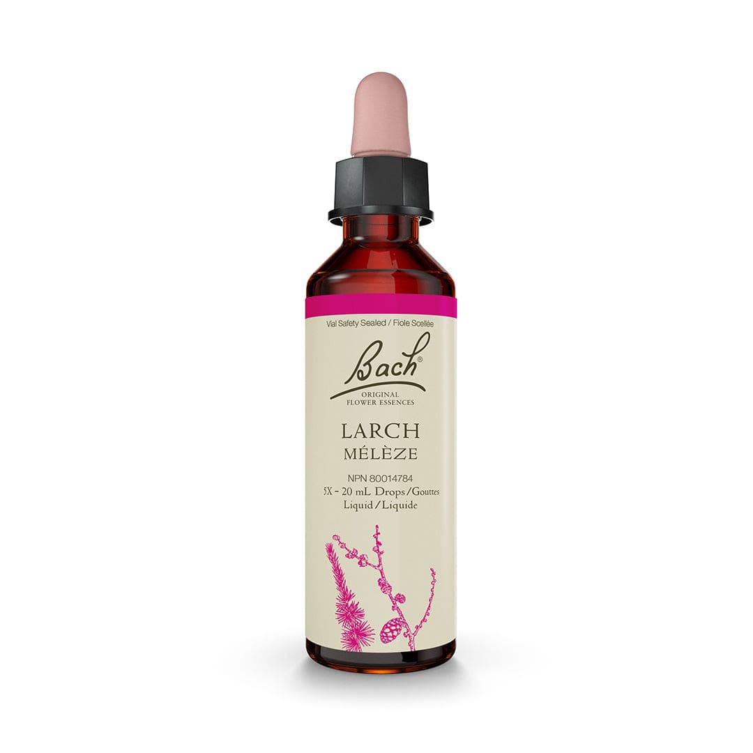 Bach® Larch CA