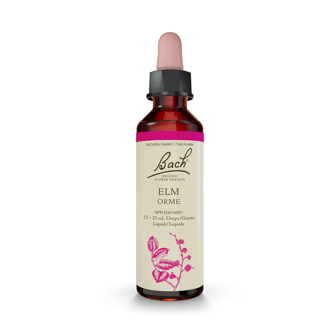 Bach® Elm CA