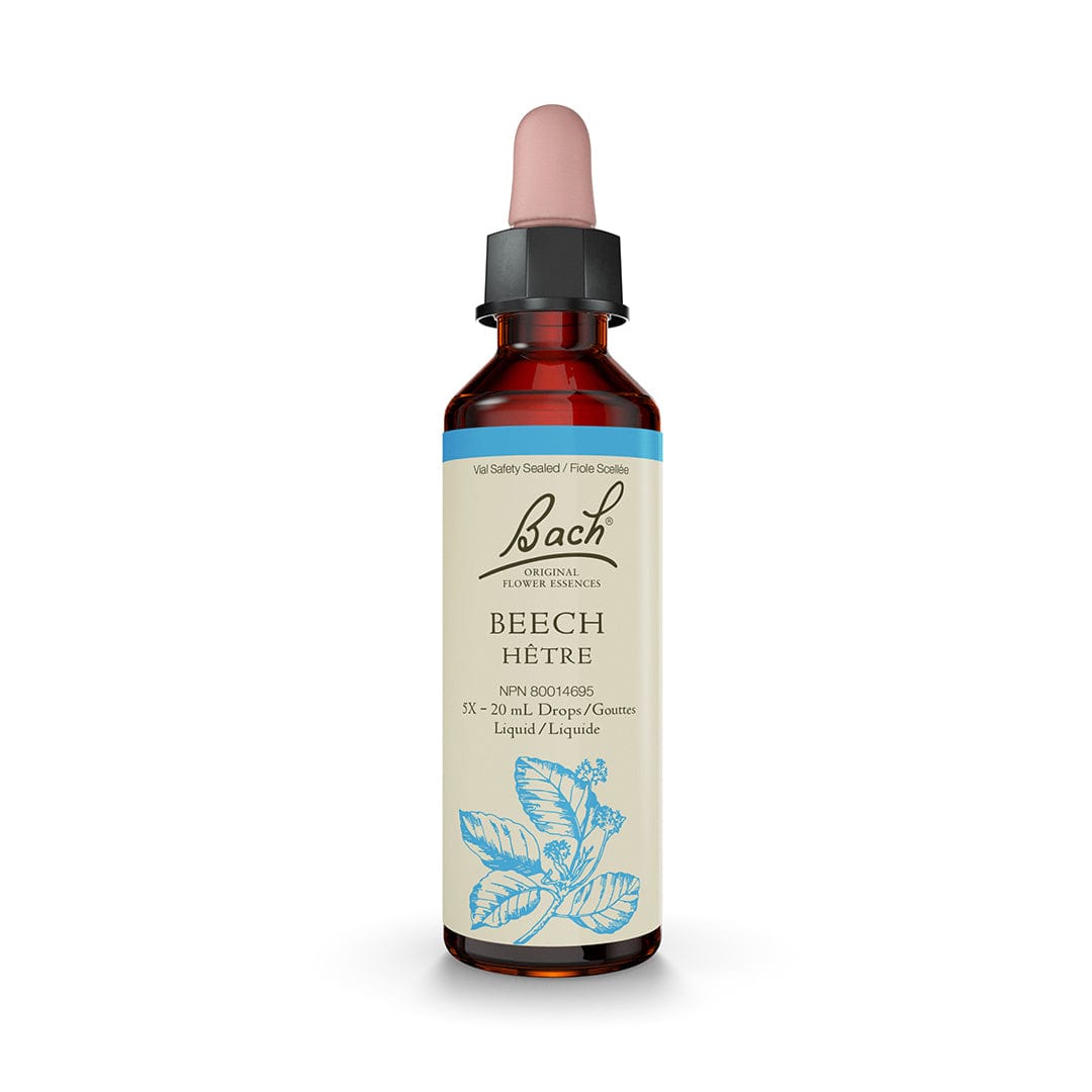 Bach® Beech CA