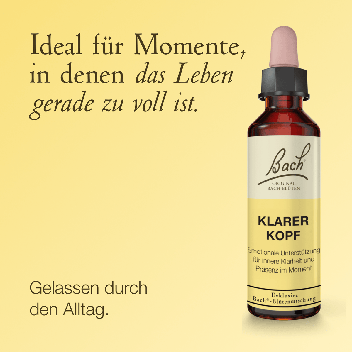 Bach Flower Remedy 20ml Bach-Blütenmischung Klarer Kopf