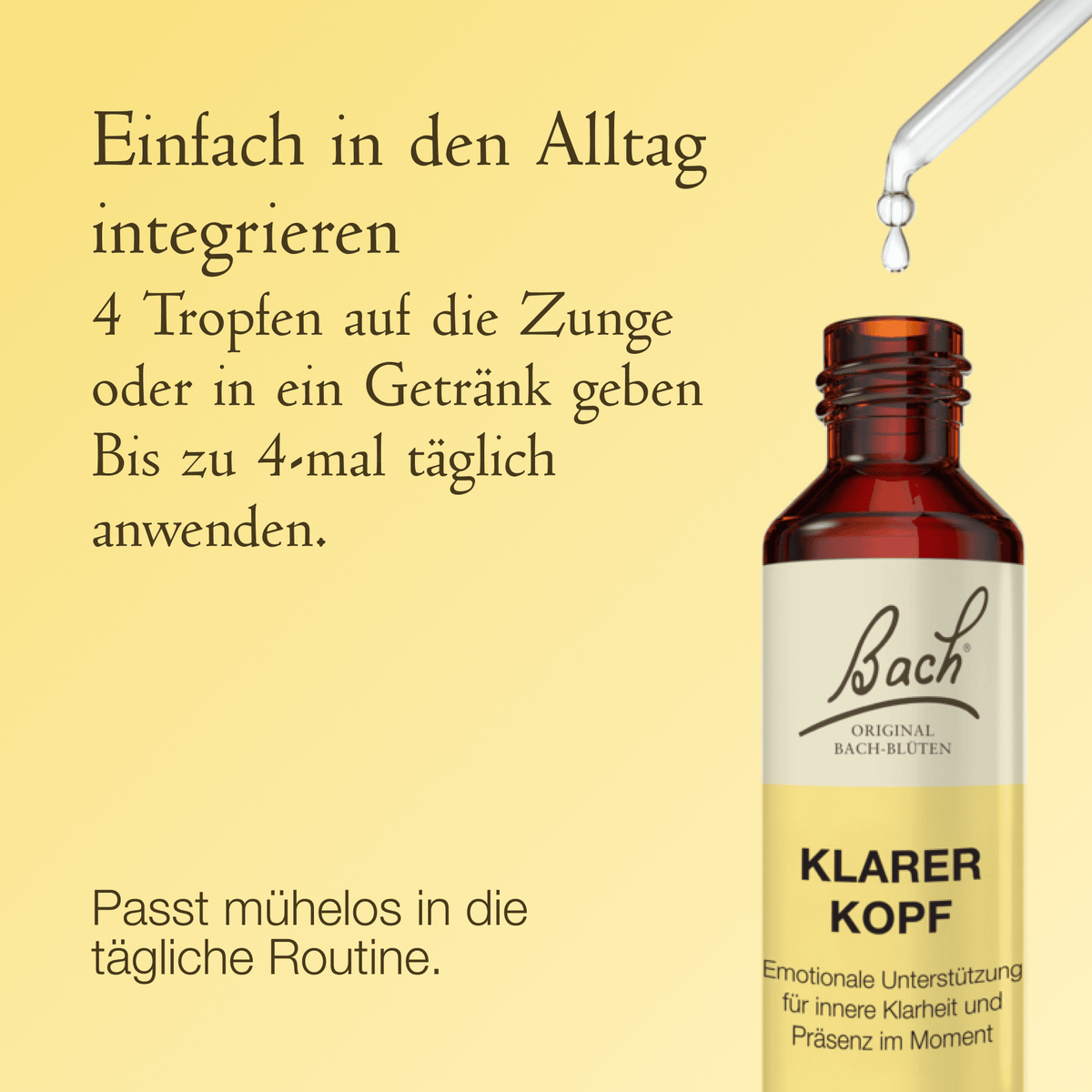 Bach Flower Remedy 20ml Bach-Blütenmischung Klarer Kopf