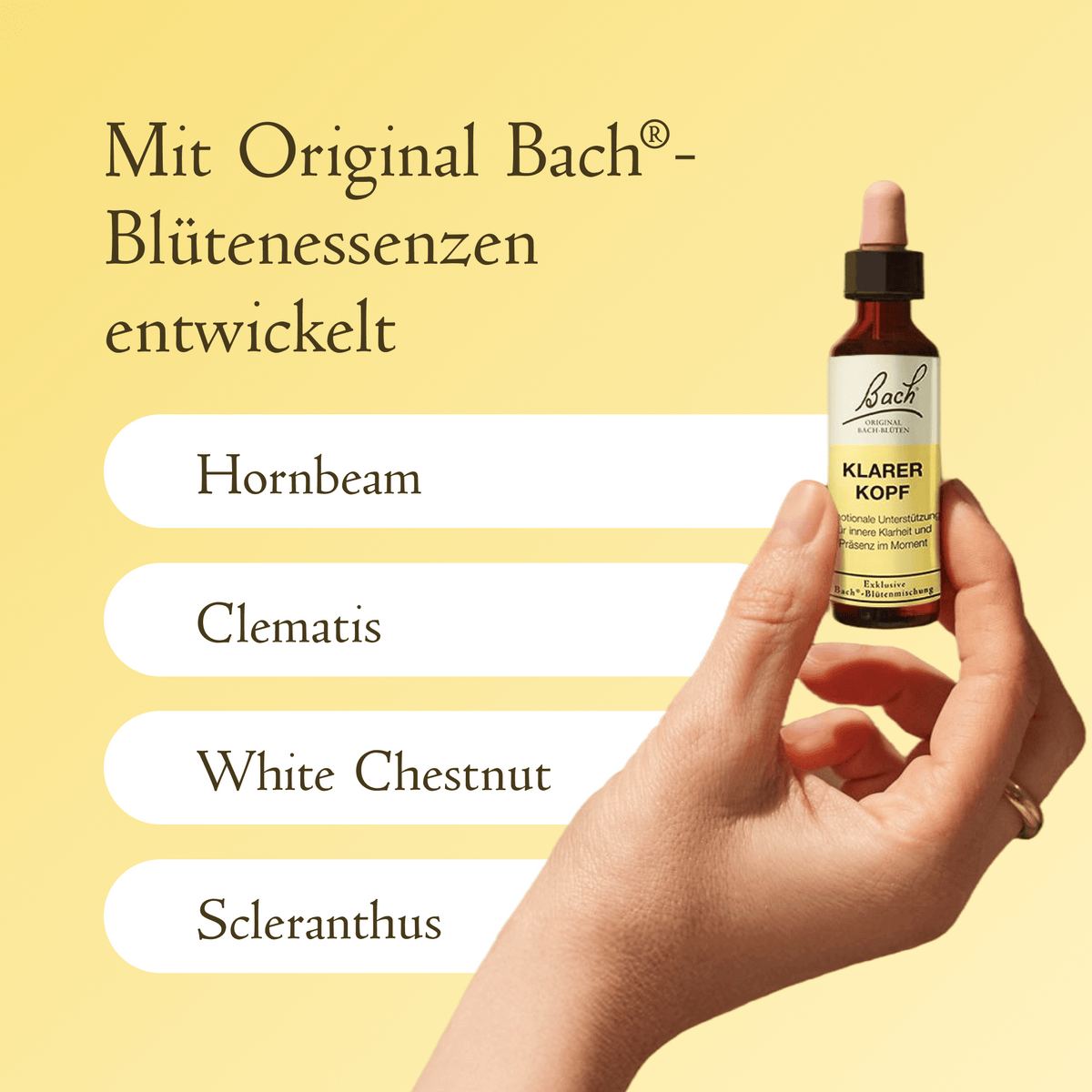 Bach Flower Remedy 20ml Bach-Blütenmischung Klarer Kopf