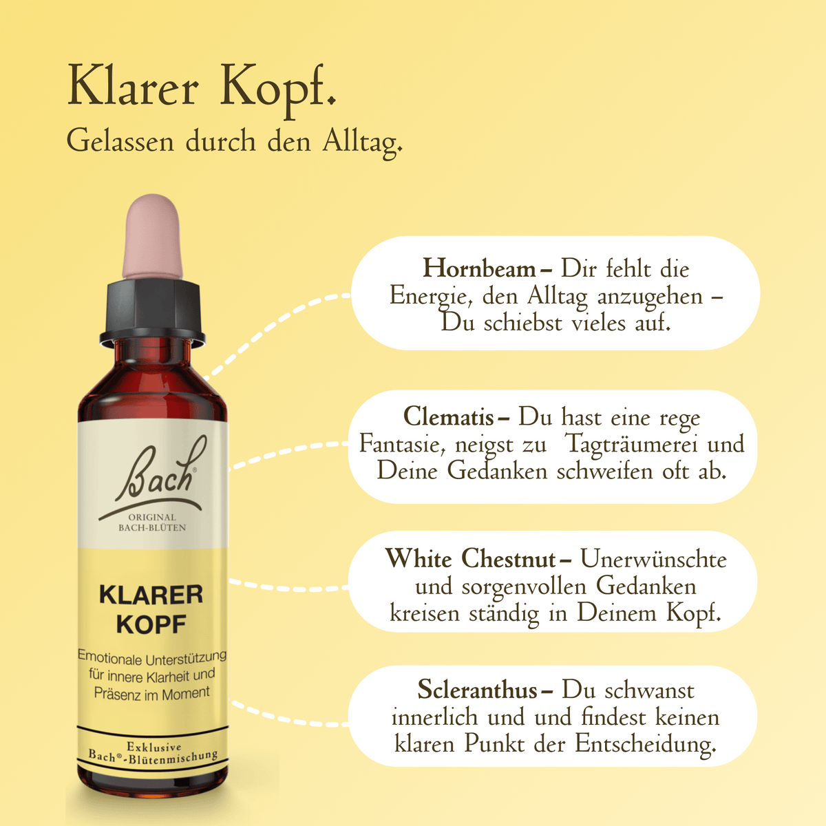 Bach Flower Remedy 20ml Bach-Blütenmischung Klarer Kopf