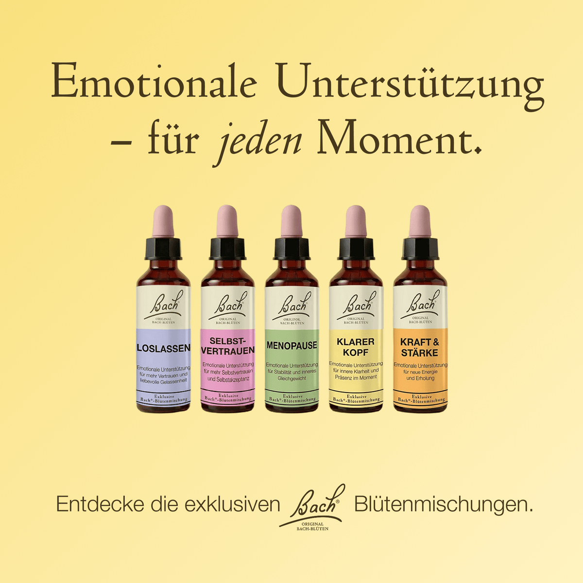 Bach Flower Remedy 20ml Bach-Blütenmischung Klarer Kopf