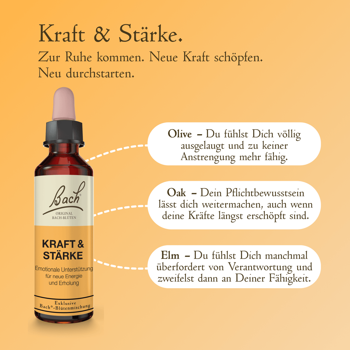 Bach Flower Remedy 20ml Bach-Blütenmischung Kraft & Stärke