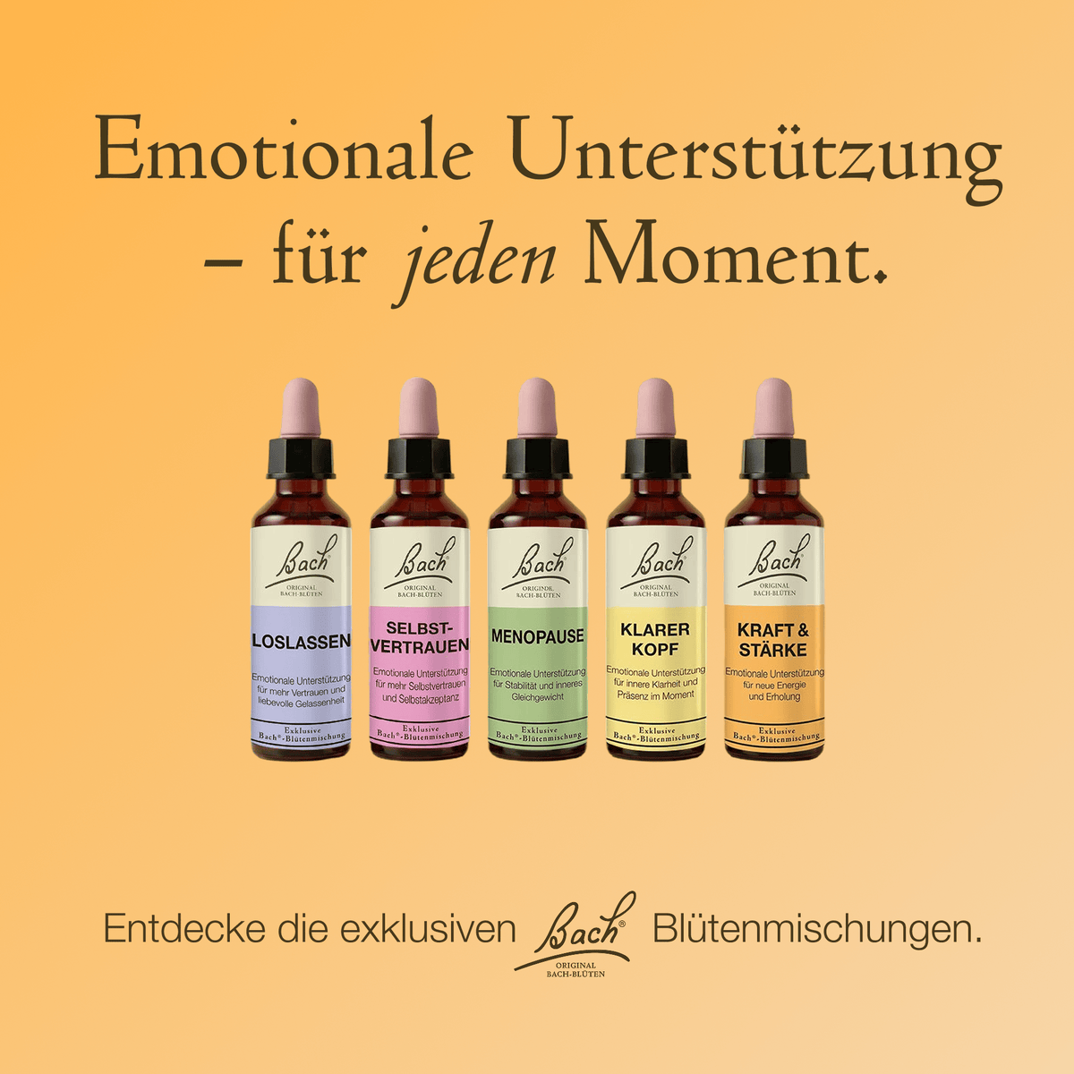 Bach Flower Remedy 20ml Bach-Blütenmischung Kraft & Stärke