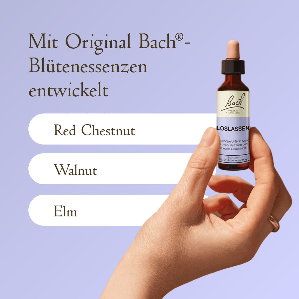 Bach Flower Remedy 20ml Bach-Blütenmischung Lolassen