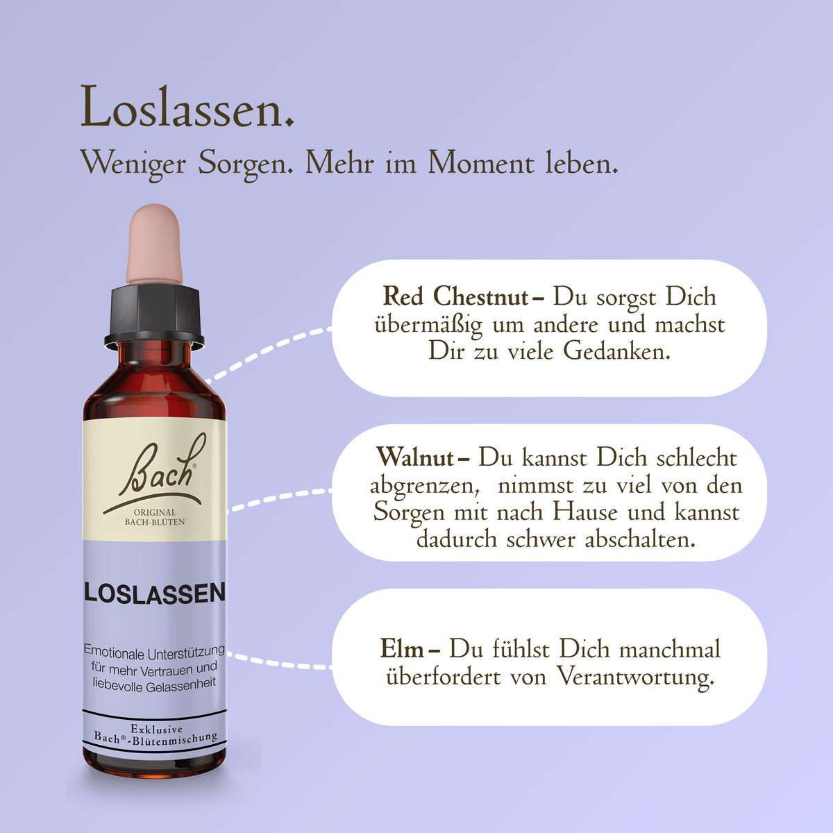 Bach Flower Remedy 20ml Bach-Blütenmischung Lolassen