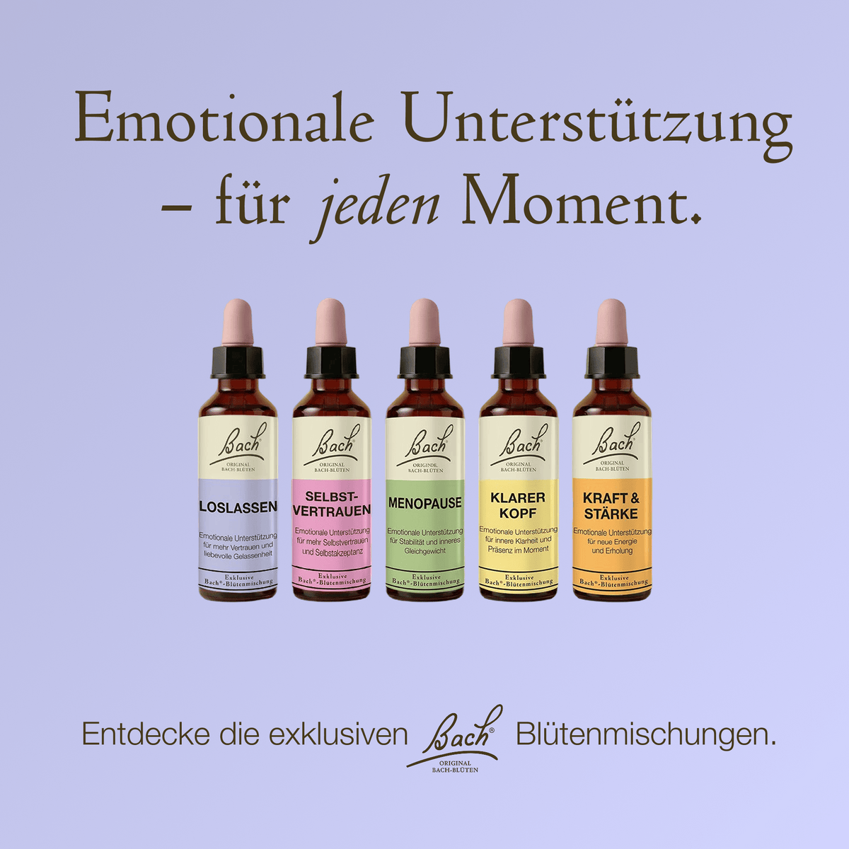 Bach Flower Remedy 20ml Bach-Blütenmischung Lolassen