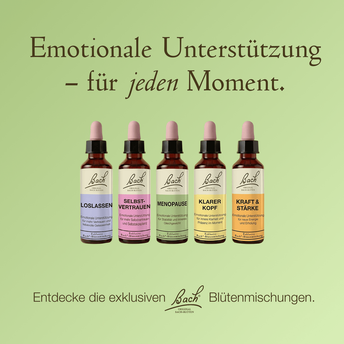 Bach Flower Remedy 20ml Bach-Blütenmischung Menopause