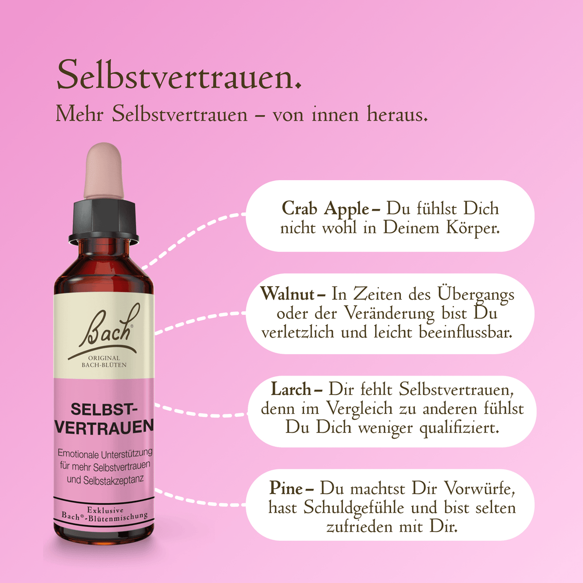 Bach Flower Remedy 20ml Bach-Blütenmischung Selbstvertrauen