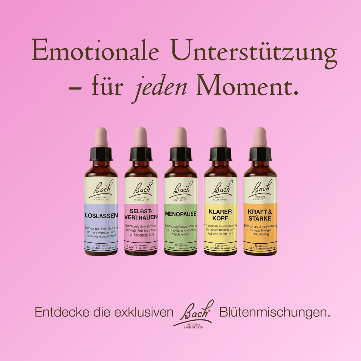 Bach Flower Remedy 20ml Bach-Blütenmischung Selbstvertrauen