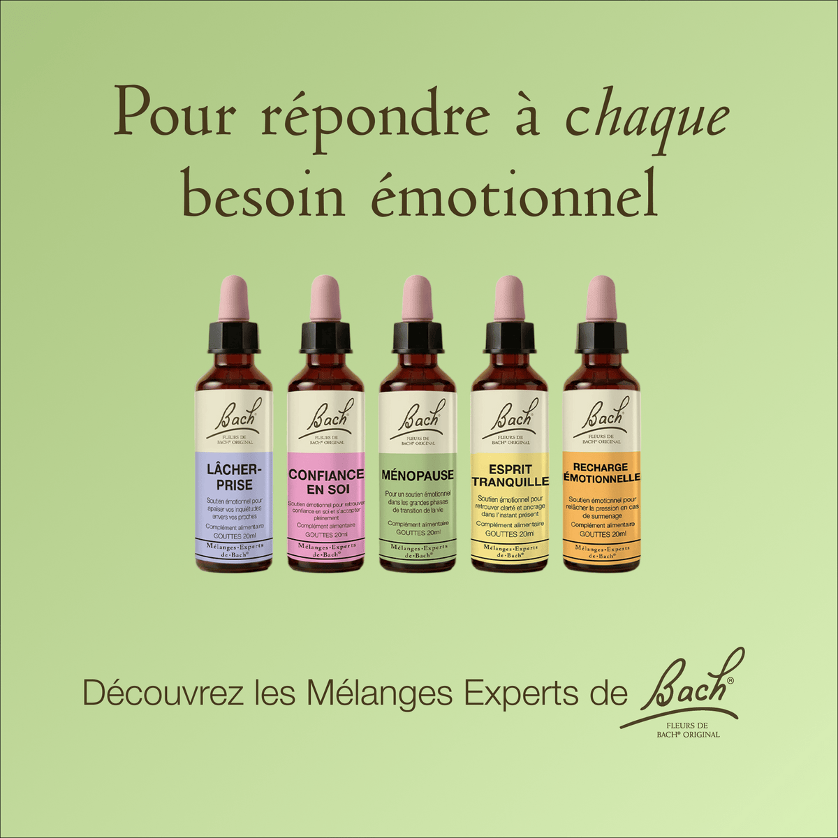 Bach Flower Remedy 20ml Mélange Expert de Bach® Ménopause