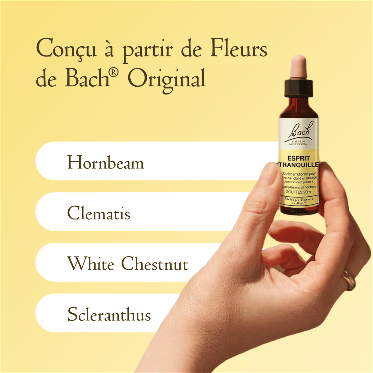 Bach Flower Remedy 20ml Mélange Expert de Bach® Esprit Tranquille