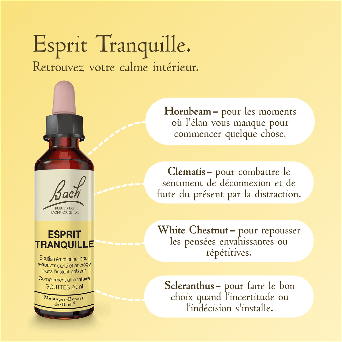 Bach Flower Remedy 20ml Mélange Expert de Bach® Esprit Tranquille