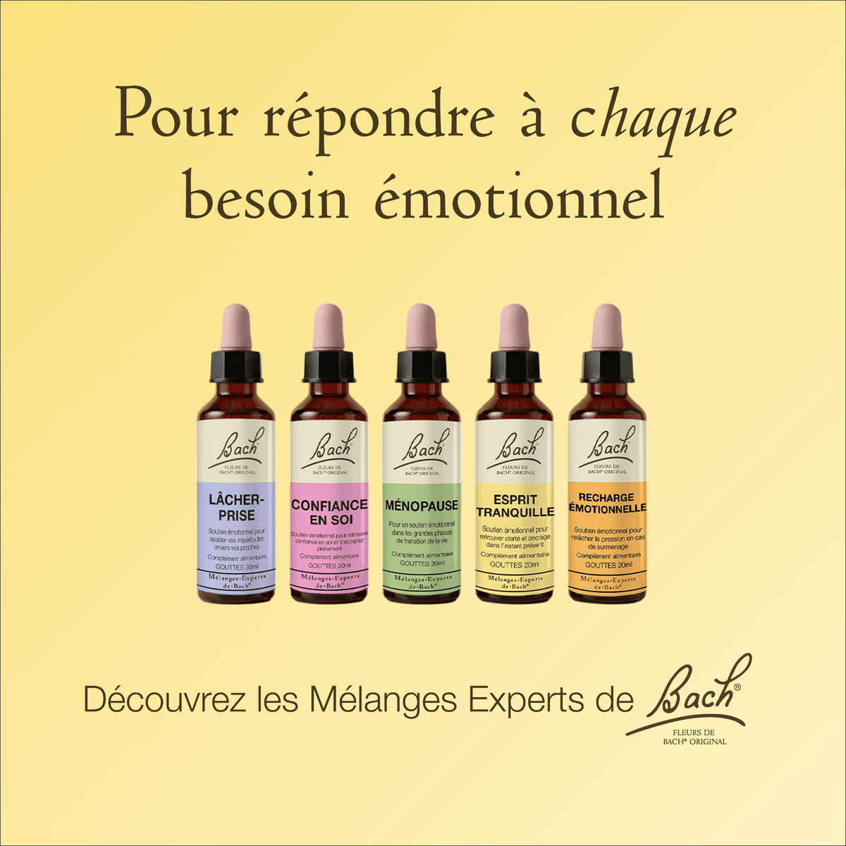 Bach Flower Remedy 20ml Mélange Expert de Bach® Esprit Tranquille