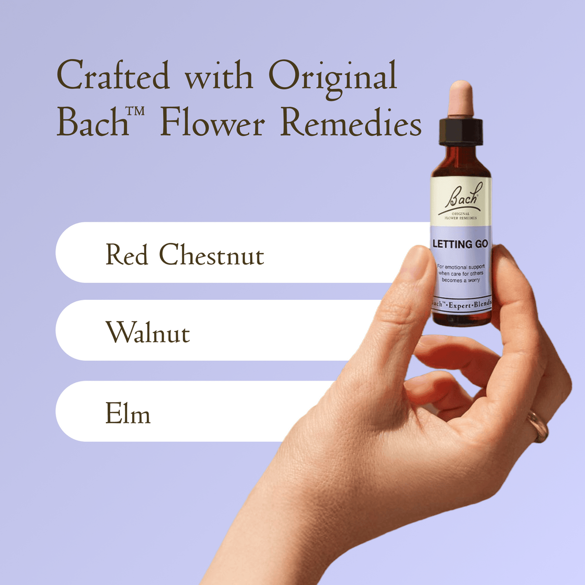 Bach Flower Remedy 20ml Bach Letting Go Blend