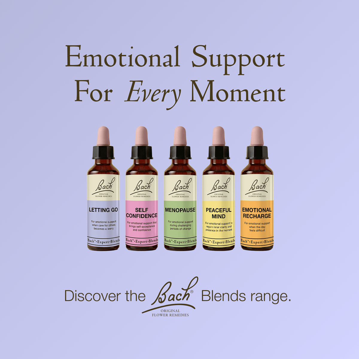 Bach Flower Remedy 20ml Bach Letting Go Blend