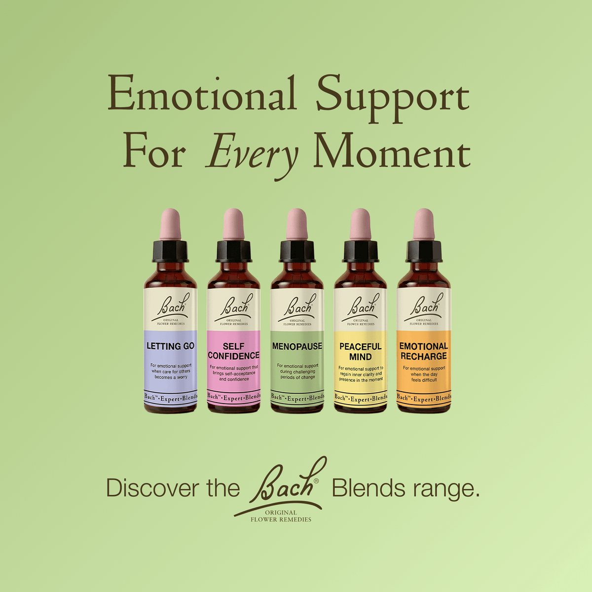 Bach Flower Remedy 20ml Bach Menopause Blend