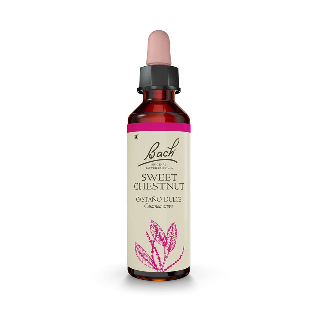 Bach® Flowers Original Sweet Chestnut