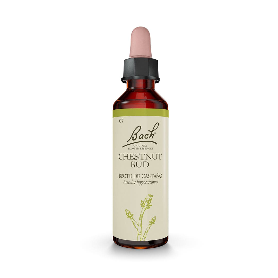 Flor de Bach® Original Chestnut Bud