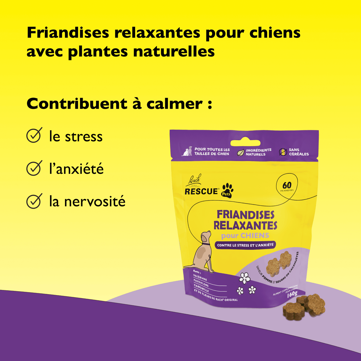 Rescue Pets 60 friandises Friandises relaxantes pour chiens RESCUE® Pets