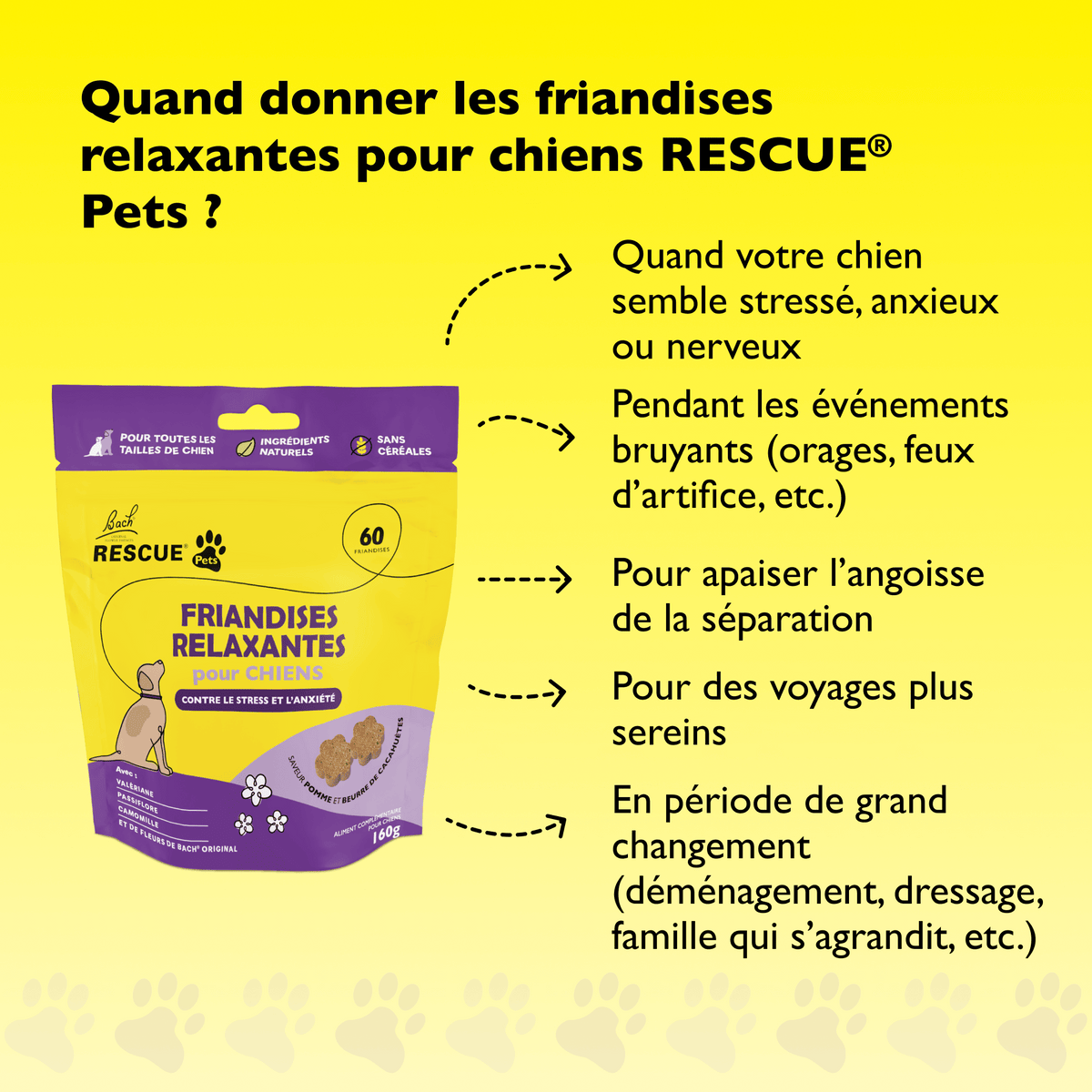 Rescue Pets 60 friandises Friandises relaxantes pour chiens RESCUE® Pets