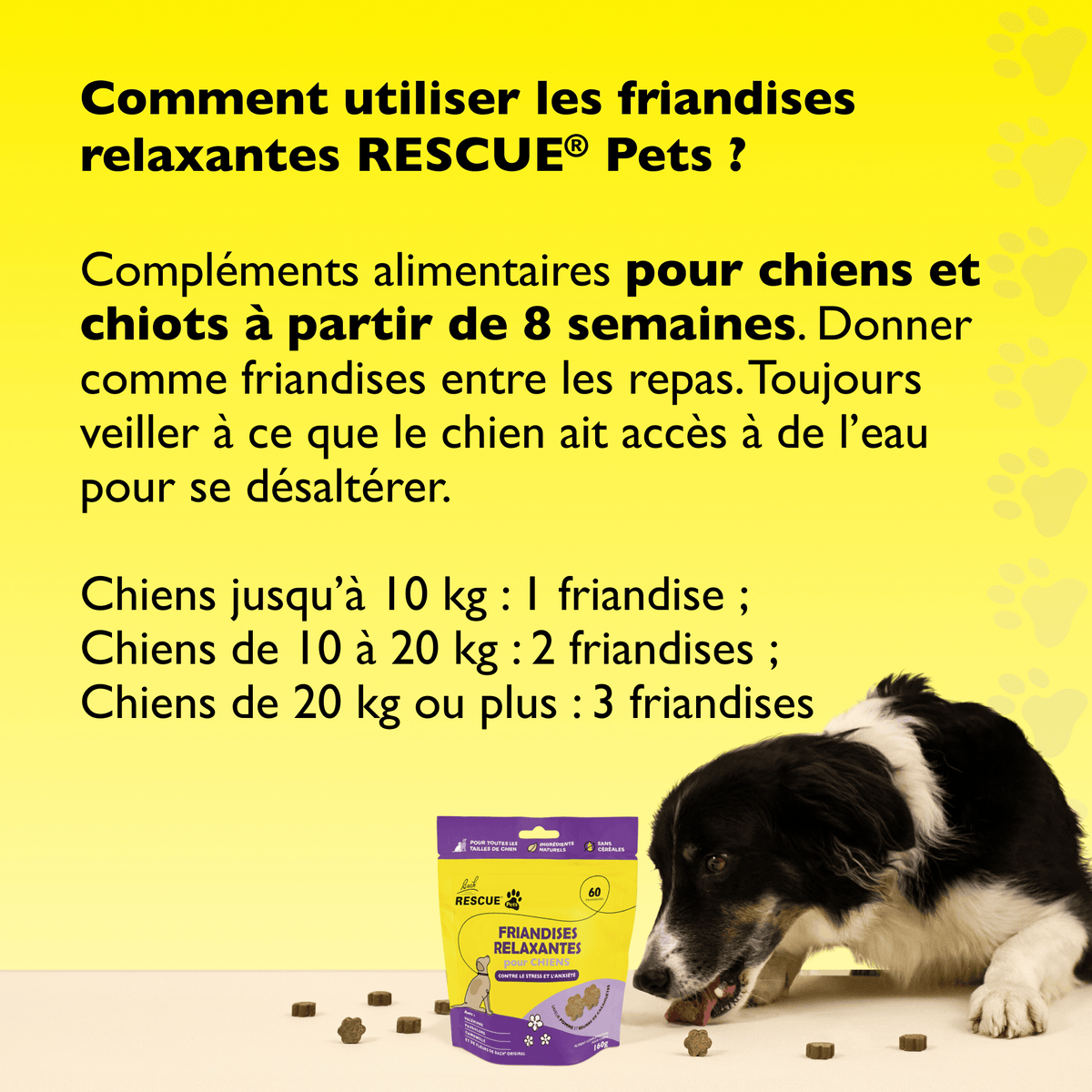 Rescue Pets 60 friandises Friandises relaxantes pour chiens RESCUE® Pets