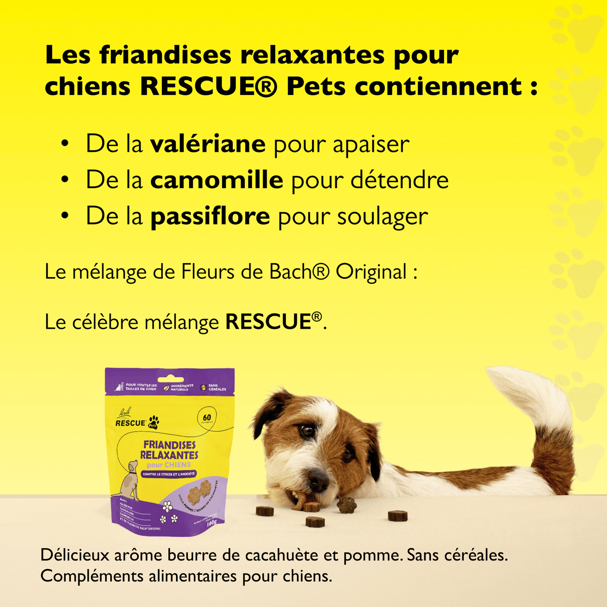 Rescue Pets 60 friandises Friandises relaxantes pour chiens RESCUE® Pets