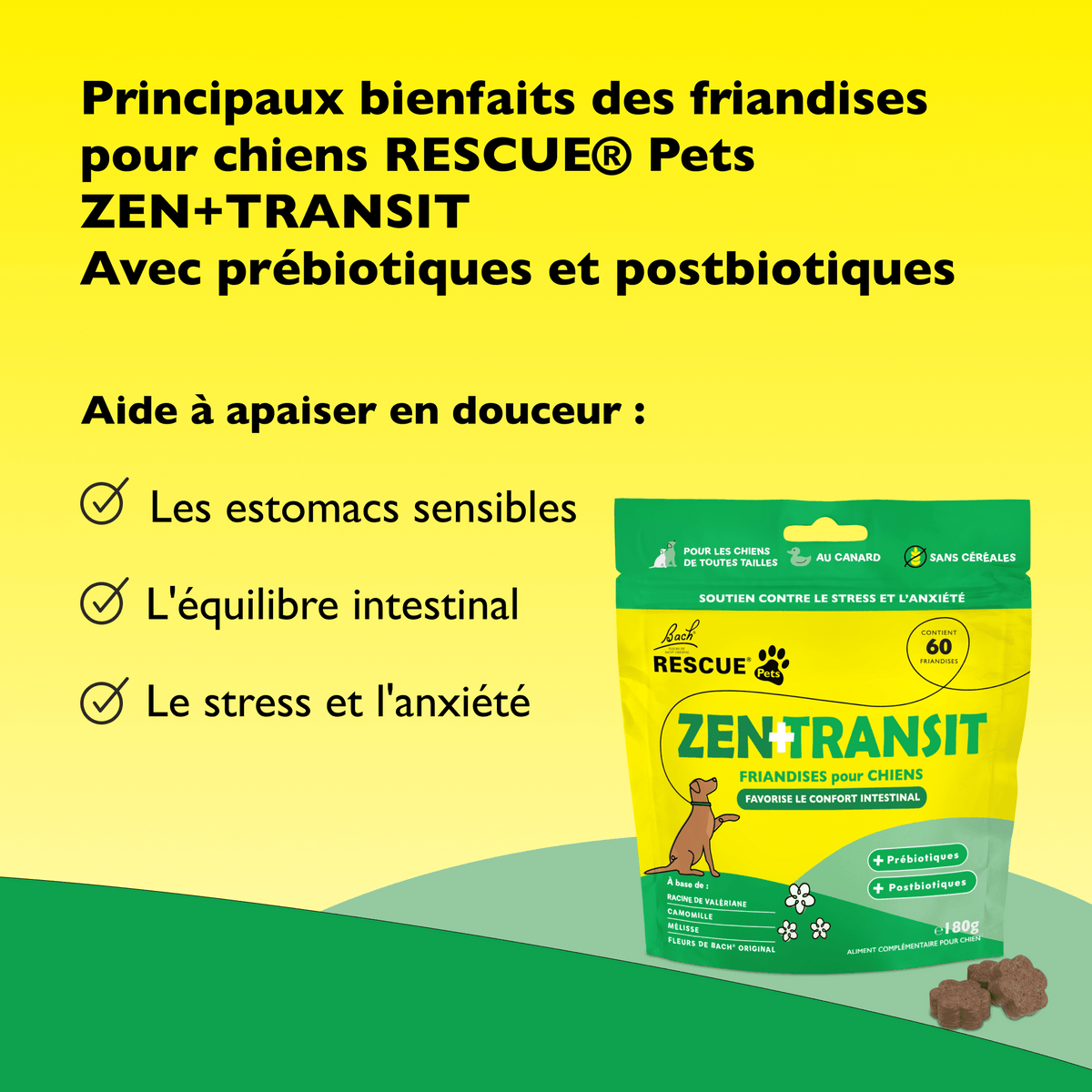 Rescue Pets 60 friandises Friandises tendres pour chiens RESCUE® Pets Zen + Transit