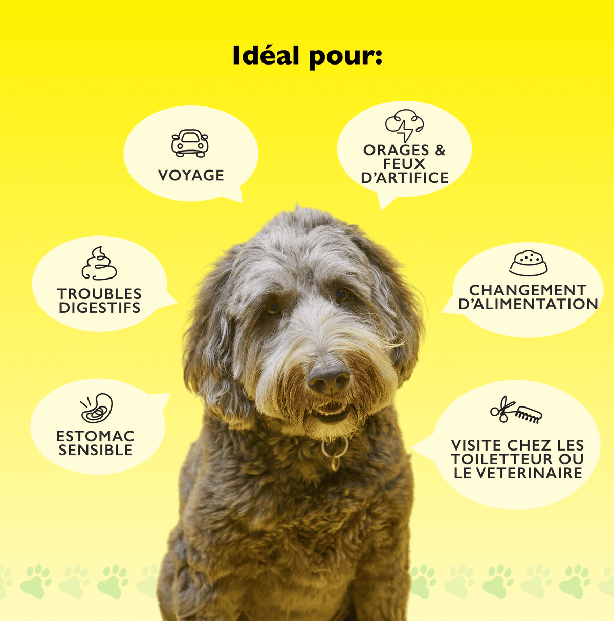 Rescue Pets 60 friandises Friandises tendres pour chiens RESCUE® Pets Zen + Transit
