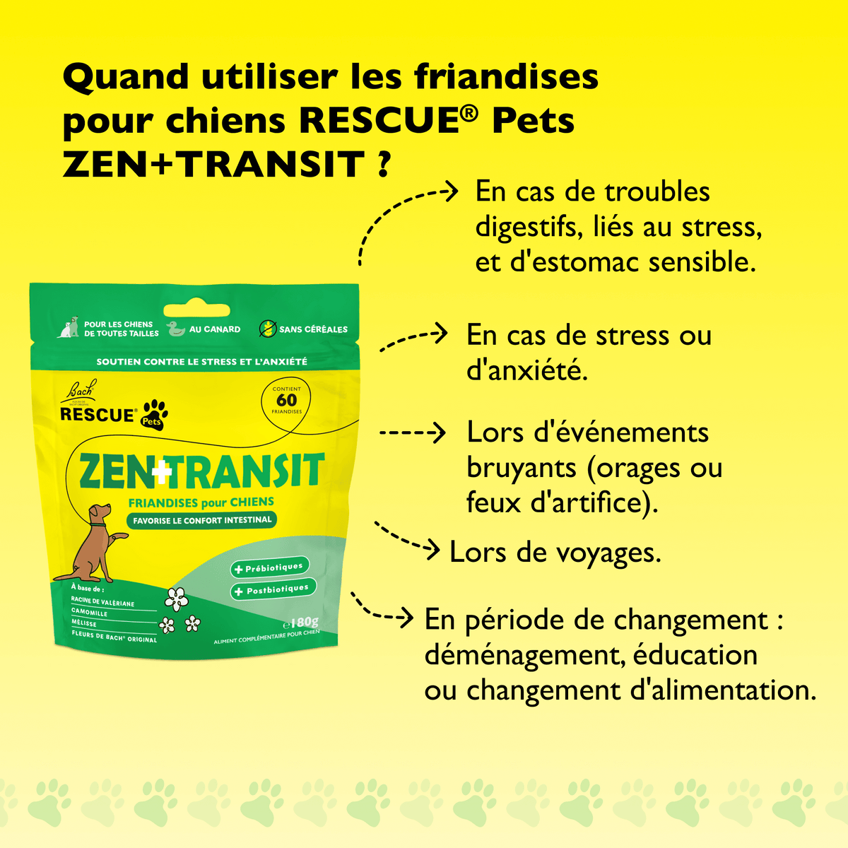 Rescue Pets 60 friandises Friandises tendres pour chiens RESCUE® Pets Zen + Transit
