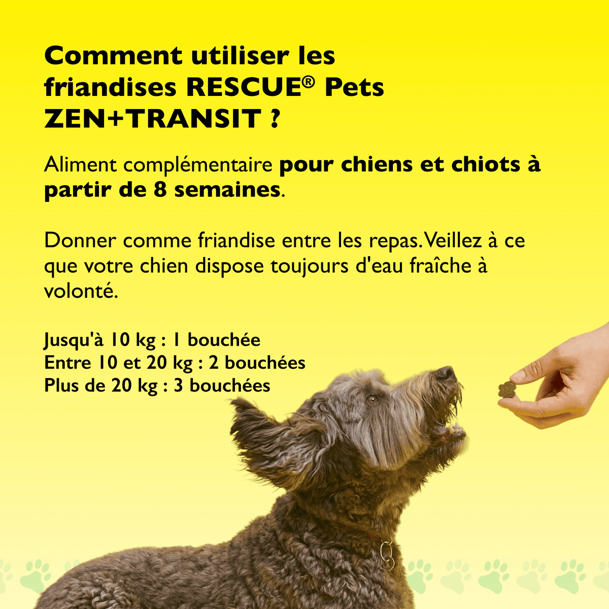 Rescue Pets 60 friandises Friandises tendres pour chiens RESCUE® Pets Zen + Transit