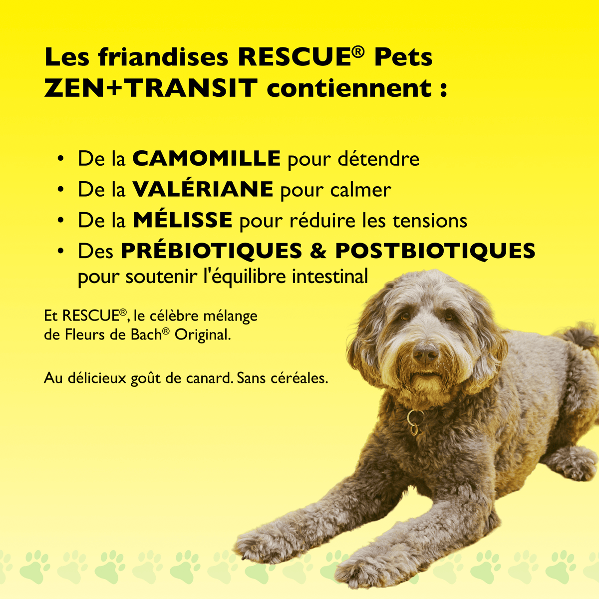 Rescue Pets 60 friandises Friandises tendres pour chiens RESCUE® Pets Zen + Transit