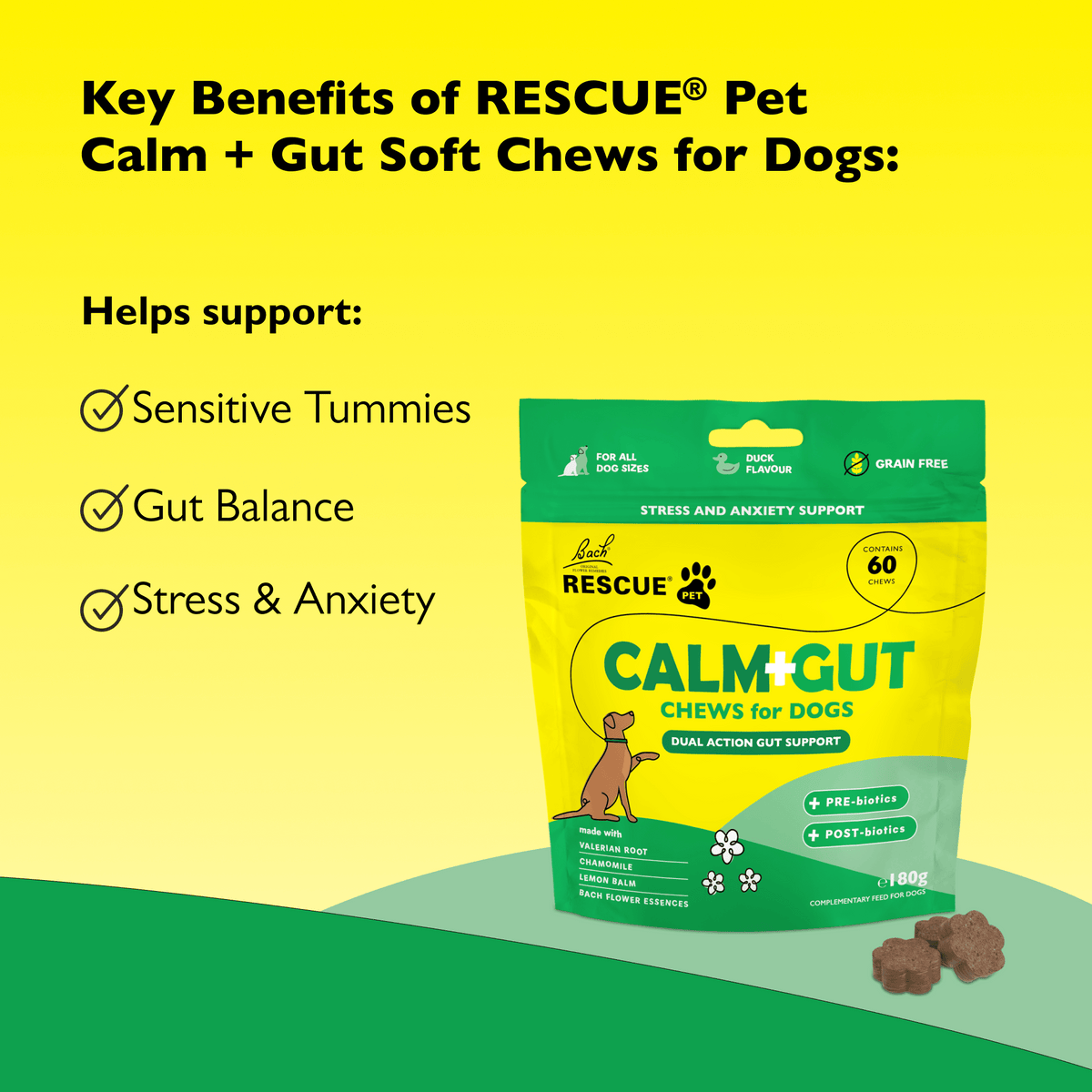 Rescue Pets 60 Chews RESCUE® Pet Calm + Gut Soft Chews for Dogs
