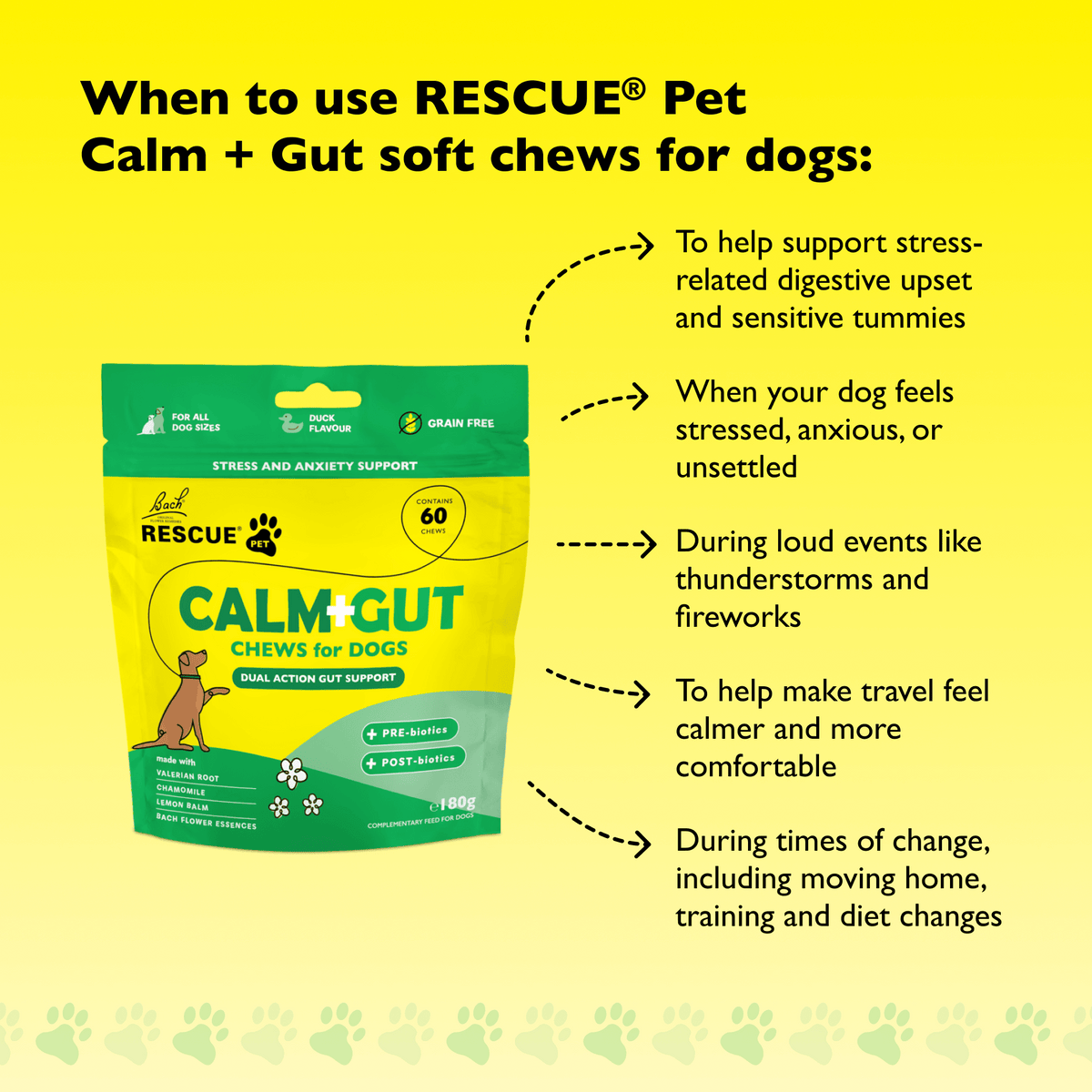 Rescue Pets 60 Chews RESCUE® Pet Calm + Gut Soft Chews for Dogs