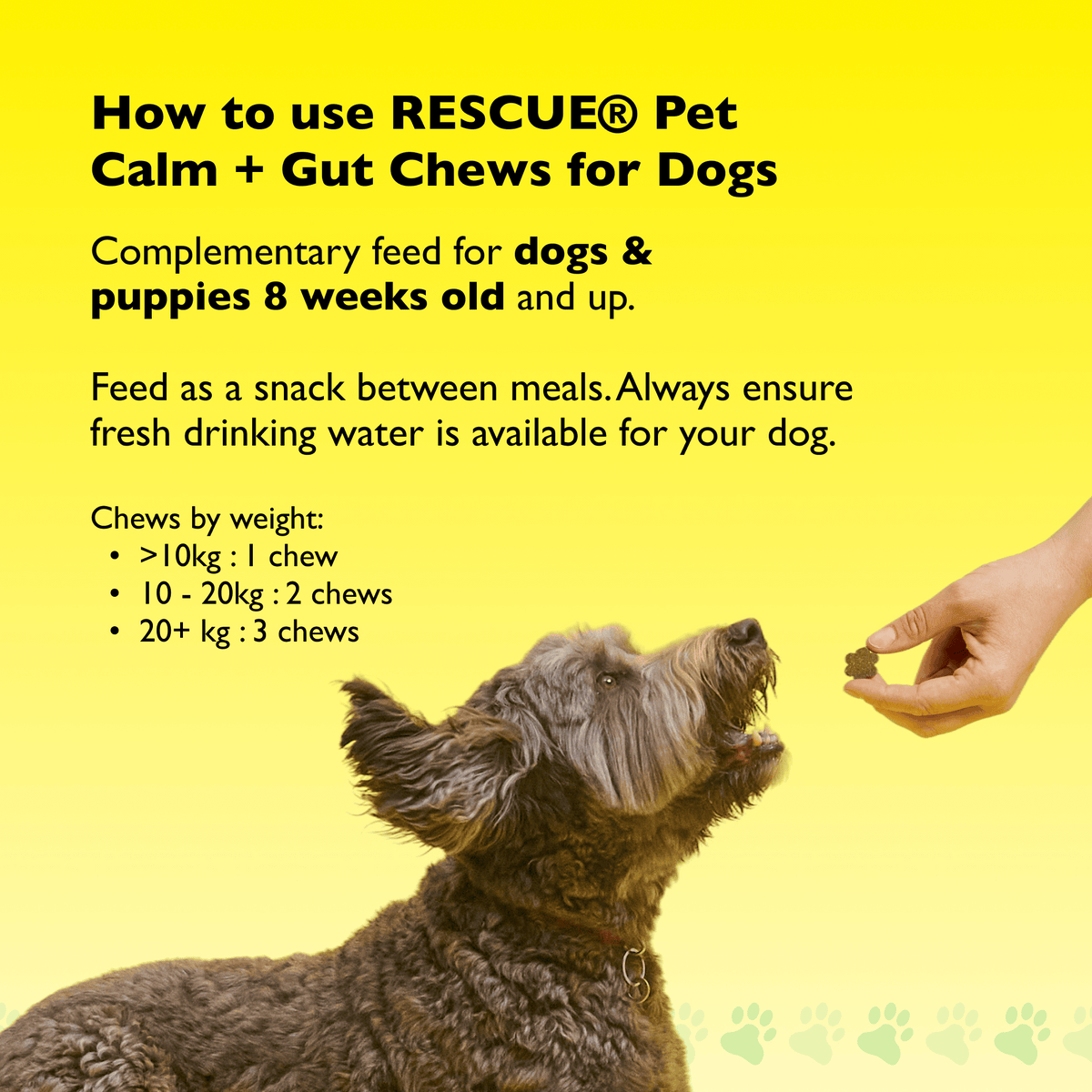 Rescue Pets 60 Chews RESCUE® Pet Calm + Gut Soft Chews for Dogs