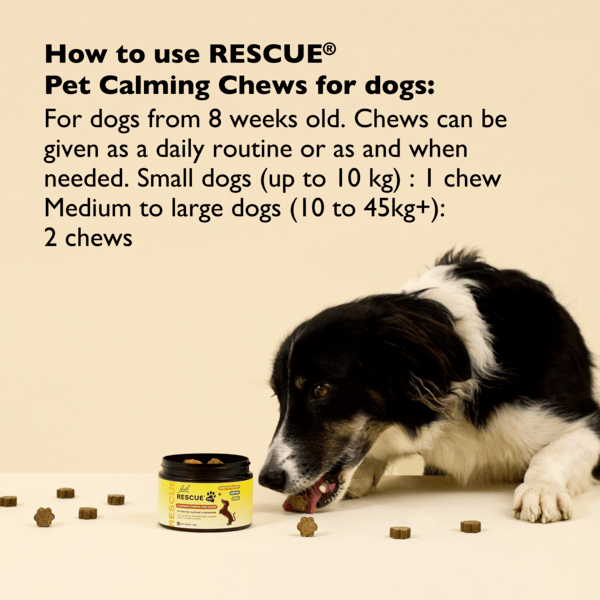 Rescue Pets 30 Chews RESCUE® Pet Calming Chews for Dogs