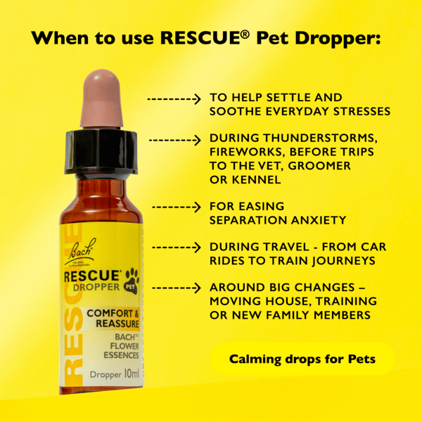 Rescue Pets RESCUE® Pet Dropper (Glycerine)
