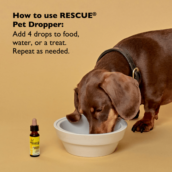 Rescue Pets RESCUE® Pet Dropper (Glycerine)