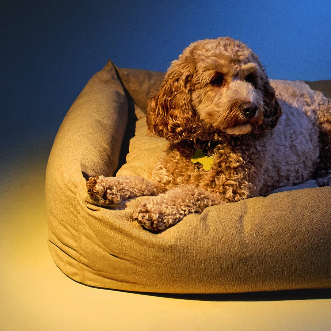 Rescue® Pet Calming Chews for Dogs