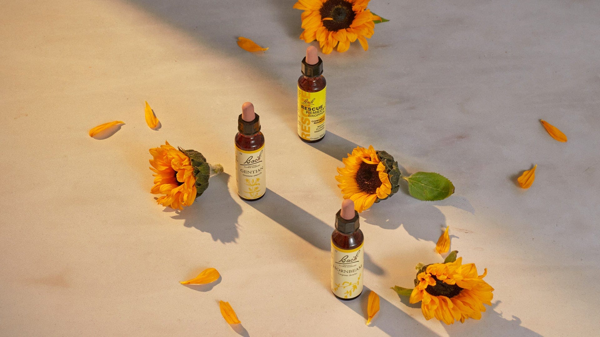 Rescue Remedy® Dropper 20ml and Bach™ Original Flower Remedies Gentian and Hornbeam surrounded by sunflowers and petals in sunlight